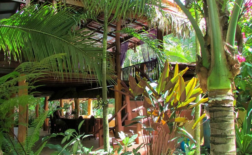 Caribe Town Bungalows Puerto Viejo de Talamanca Extérieur photo