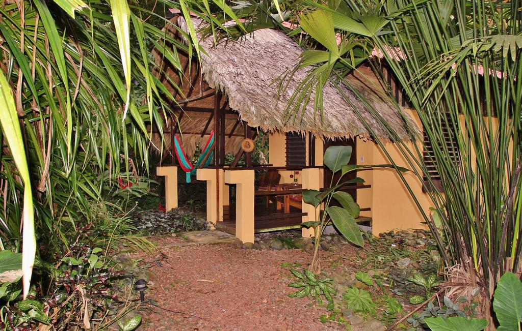 Caribe Town Bungalows Puerto Viejo de Talamanca Chambre photo