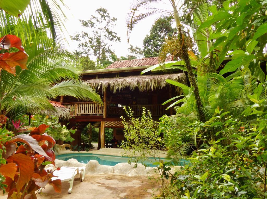Caribe Town Bungalows Puerto Viejo de Talamanca Extérieur photo