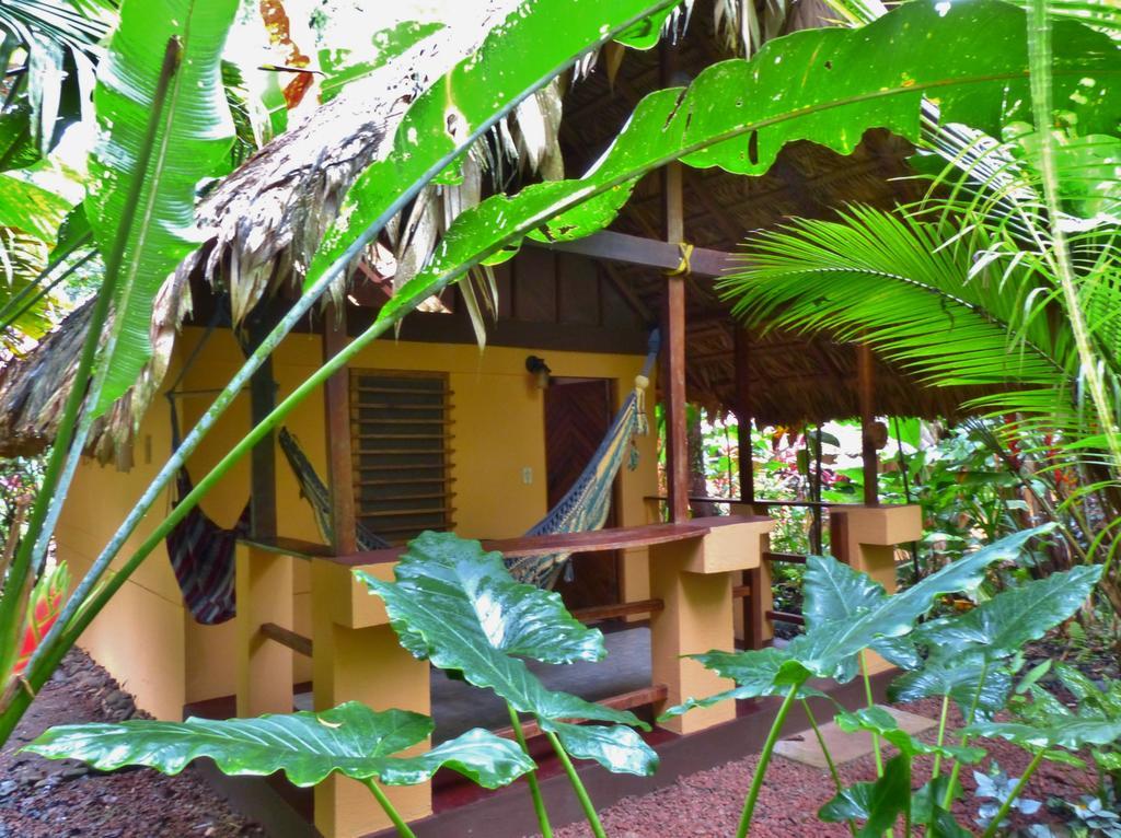 Caribe Town Bungalows Puerto Viejo de Talamanca Chambre photo