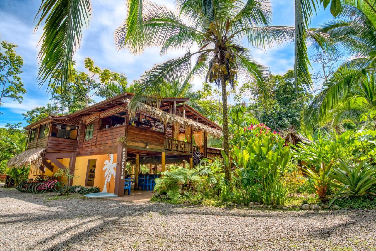 Caribe Town Bungalows Puerto Viejo de Talamanca Extérieur photo